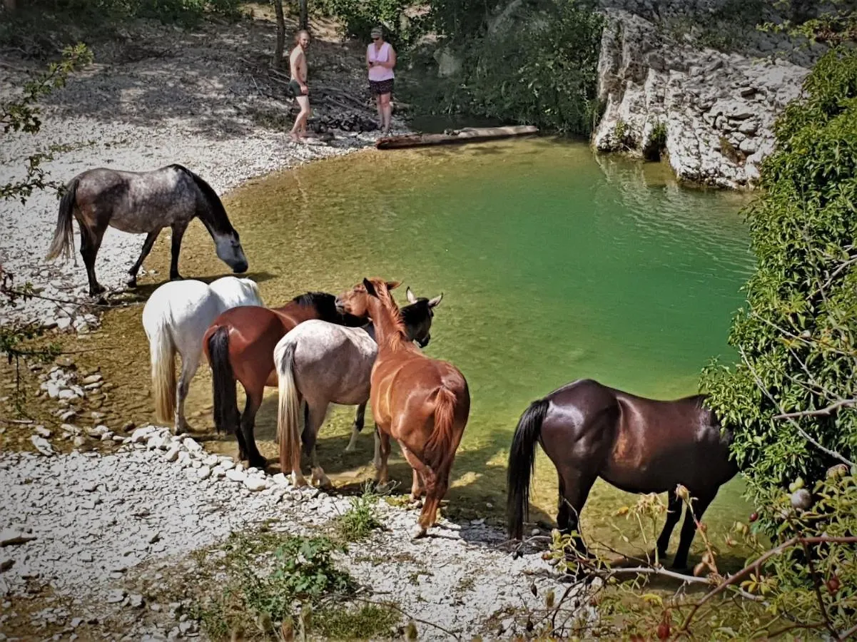 בית חווה הוילה Lurs Ferme Equestre Les Coccinelles צרפת