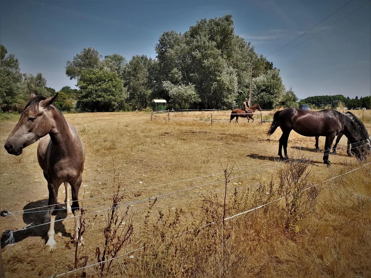 הוילה Lurs Ferme Equestre Les Coccinelles 0*,