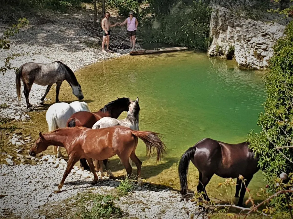 הוילה Lurs Ferme Equestre Les Coccinelles בית חווה