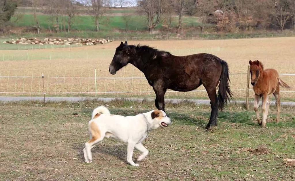 הוילה Lurs Ferme Equestre Les Coccinelles צרפת